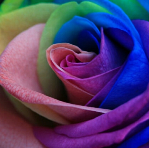 Meet your Posher, Racquel - Picture 2 of 3